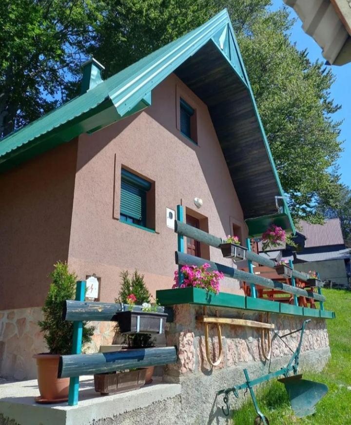 Vila Darija Zabljak  Ngoại thất bức ảnh