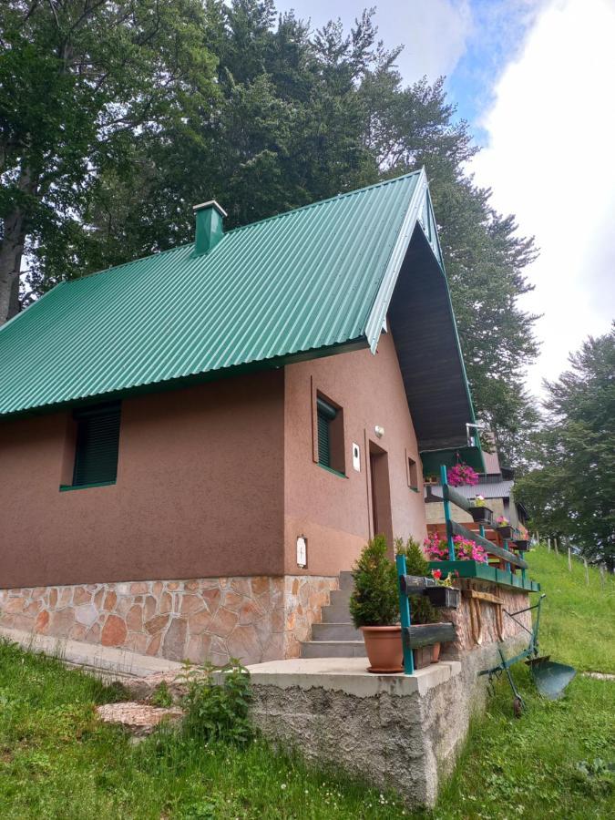 Vila Darija Zabljak  Ngoại thất bức ảnh