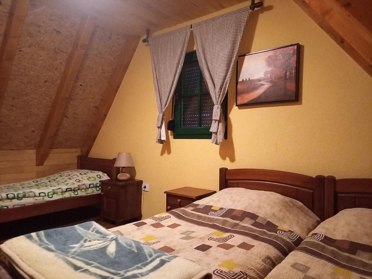 Vila Darija Zabljak  Ngoại thất bức ảnh